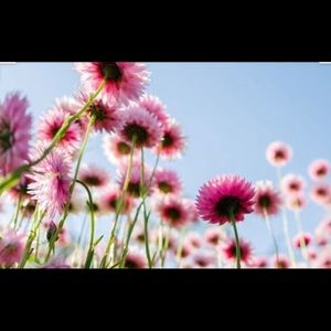 Meet your Posher, Kamila